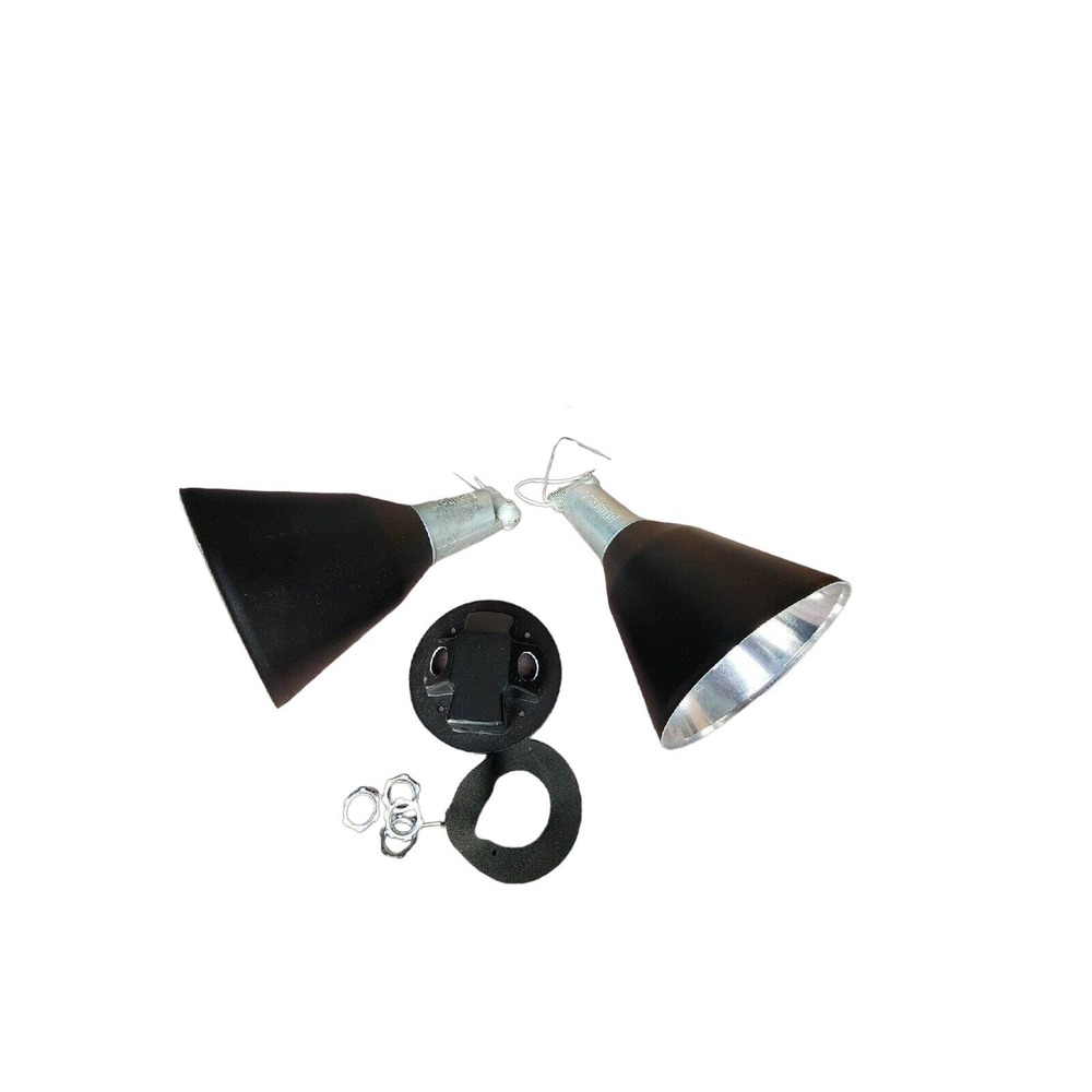 Progress Lighting 2-Light Flood Lights Black Wall Light Aluminum